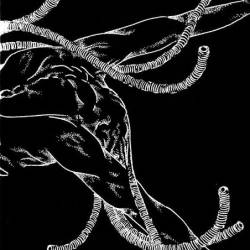 Cellgraft : Deception Schematic